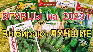 Обзор НОВЫХ гибридов ОГУРЦОВ.🥒🥒Сезон 2023. Где я покупаю семена.