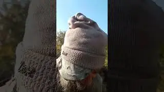 VID 20241028 094522