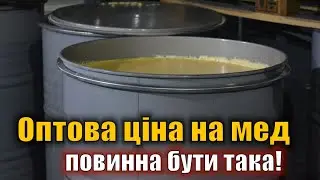 Оптова ціна на мед в 2023 році. Яка повинна бути?