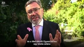 Küzdjünk együtt a mellrák ellen🎗️