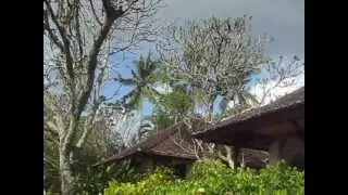 ubudas   sanuras