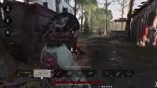 Hunt: Showdown - 2020-12-17 3 - bug/crash again