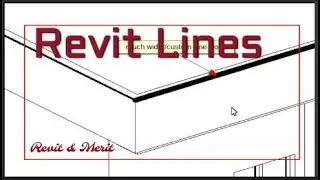 Video 47 - Lines in Revit