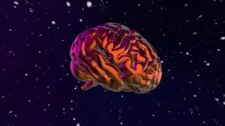INTELLECTUAL ASCENSION