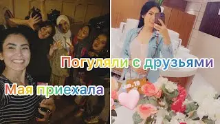 Мая прилетела //День рождение Даши //Прогулка с Друзьями //