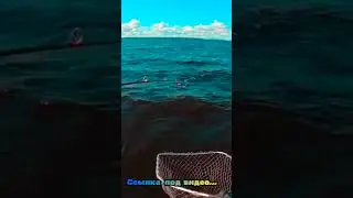 ОГРОМНАЯ ЩУКА НА ТРОЛЛИНГ НА РЫБИНСКОМ ВОДОХРАНИЛИЩЕ