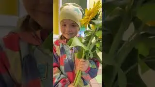 Когда пришли порадовать воспитателей самыми простыми подсолнухами