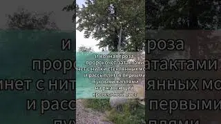 #стихи_irabodich