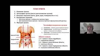 1   Учение о внутренних органах