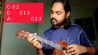First Lesson After Buying Ukulele Sa Re Ga Ma #ukulele #guitar #video #viralvideo