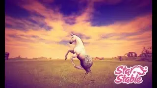SSO New DAY -  lusitano horse