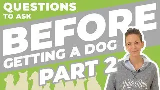 Things I Wish I Knew BEFORE Getting A Dog - Part 2
