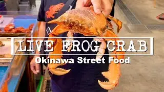 LIVE Frog Crab: Okinawa Street Food