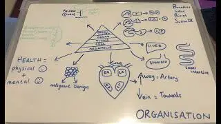 AQA GCSE Paper 1 Biology Described in Keywords