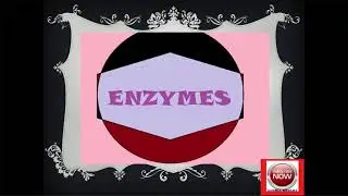VIDEO ON ENZYMES