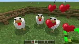chicken
