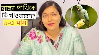 পাখিকে খাওয়ানোর বিকল্প পদ্ধতি।একটি খাবার ছাড়া কিচ্ছু খায়না?