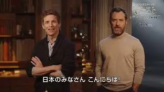 Mensaje para Japón con Eddie Redmayne y Jude Law - Animales Fantásticos: Los Secretos de Dumbledore