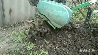 Мотокультиватор по сырой , необработанной земле. Недооценённая техника .