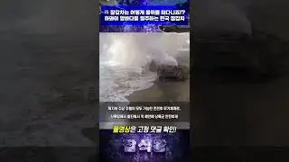 한국 장갑차는 어떻게 물위를 떠다니죠?! #군사 #밀리터리 #장갑차