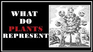 Esoterica: What do Plants Represent? -The Secret Teachings of All Ages