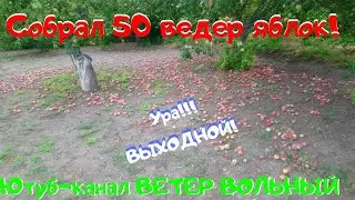 Выходной в селе. Сад. Волга. Мысли. Планы. Новости. 