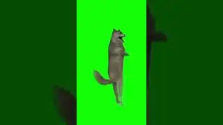 ихвильнихт футаж