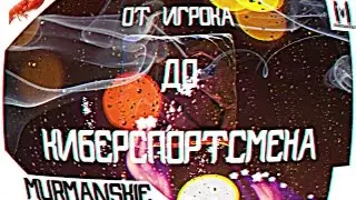 От игрока до киберспортсмена