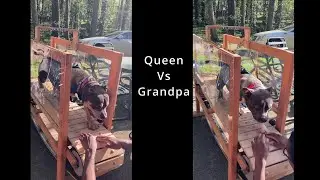 Queen Vs Grandpa
