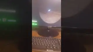 24 ноября 2021 г.