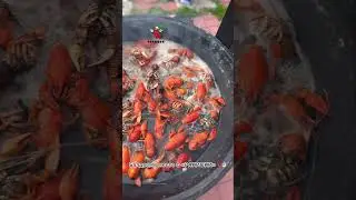 Балдеж!🦞 #раки #ракиоки #seafood #живыераки #раколовка #рецепты #вареныераки #крабы #креветки