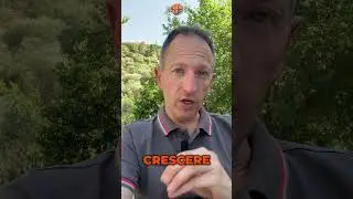 Come crescere personalmente per attrarre successo: La verità sulla legge di attrazione