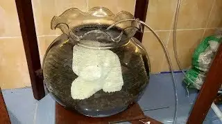MEMBUAT UNDERGRAVEL AQUARIUM BULAT
