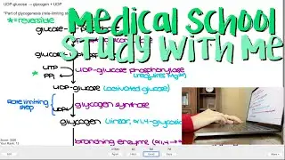Medical School Study With Me - Real Time Anki Reviews (no music)