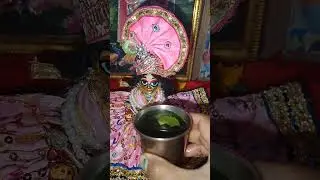 good morning gopal #radhakrishna #radhe radhe 🙏#shortsvideo #viral #youtubeshorts