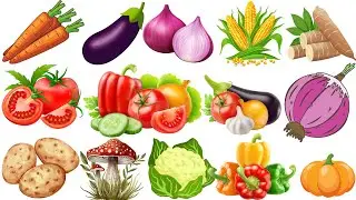 learn vegetables vocabulary in English with quiz | easy learn vegetables