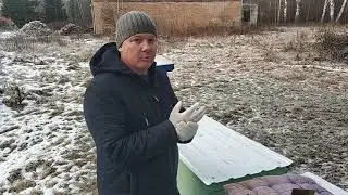 ревизия пчелосемей зимой, середина декабря