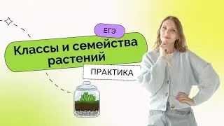 Классы и семейства растений. Практика для ЕГЭ по Биологии