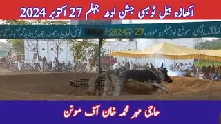 Haji Mehar Muhammad khan of Monan | Bull Race lota Jhelum 27 October 2024