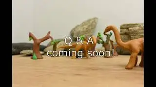 Q & A coming soon!