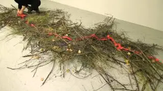 "movement-fields (interior)"