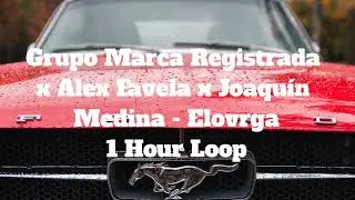 Grupo Marca Registrada x Alex Favela x Joaquín Medina - Elovrga - 1 Hour Loop