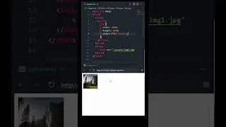 Resize Images to Fit a Container 
