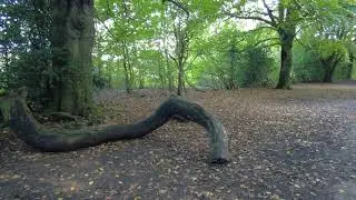 Dukes Drive Chester