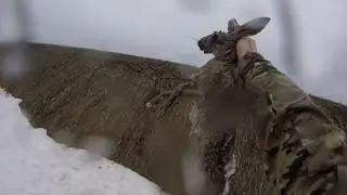 Охота на зайца 2018-19( Дело было на Кубани-3!) ( Охота состоится в любую ПОГОДУ!!! )