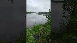 вернулись с рыбалки #fishing #рыбалка