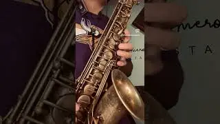 Ahora te puedes marchar - Sax solo #ahoratepuedesmarchar #saxsolo #luismiguel