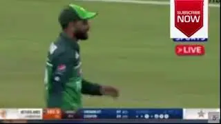 pakistan vs netherlands live , ptv sports live , pak vs ned love 1st odi 2022