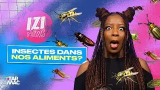 Est-ce qu’on mange des insectes à notre insu ? • IZI NEWS