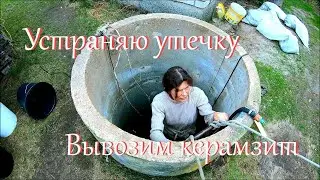 Замена оглобли. Полезла в колодец. // Жизнь на хуторе